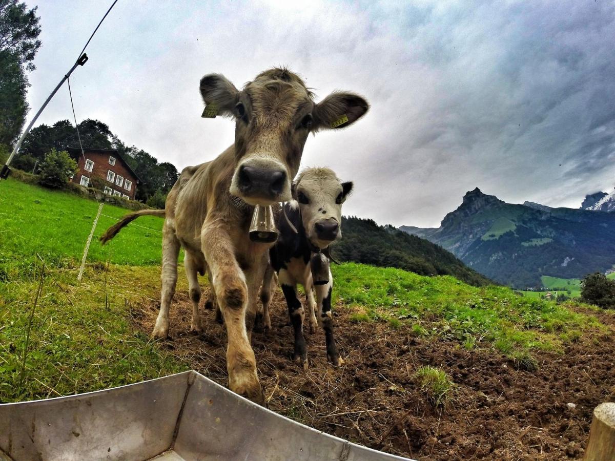 Hostel Engelberg "Mein Trail Hostel" エクステリア 写真