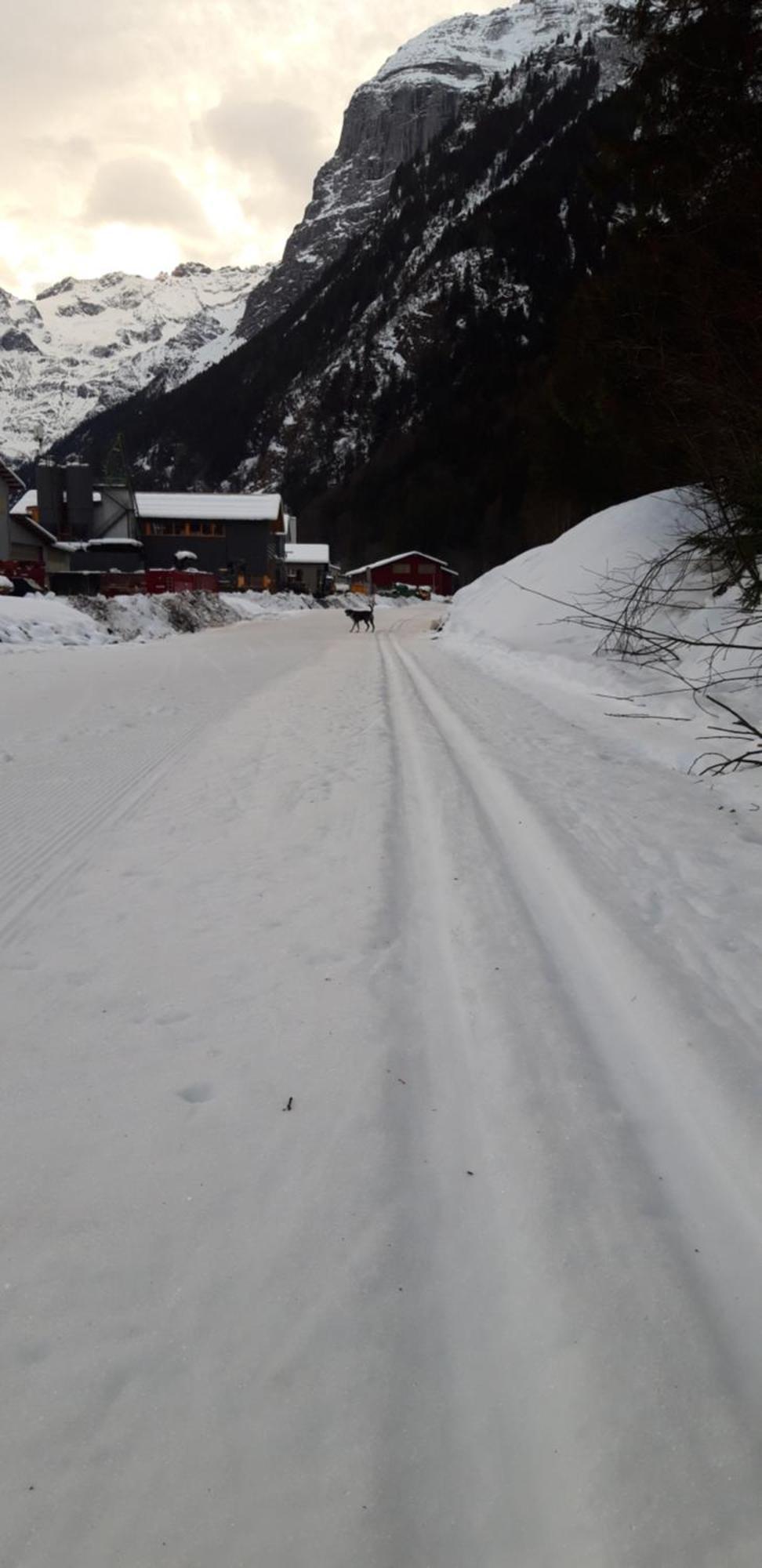 Hostel Engelberg "Mein Trail Hostel" エクステリア 写真
